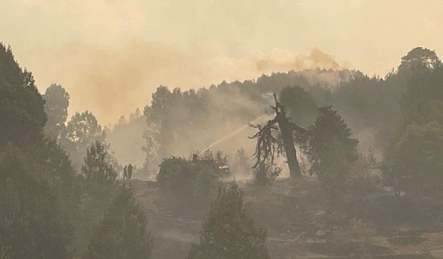 Ankara’da Bolu’da Yangın Son Durum, Yangın Neden Çıktı?