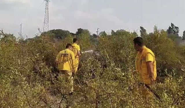 Osmaniye’de Makilik Alanda Korkutan Yangın: 10 Hektar Alan Zarar Gördü