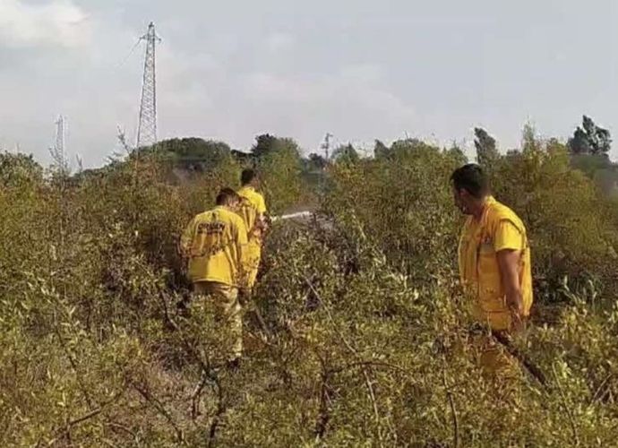 Osmaniye’de Makilik Alanda Korkutan Yangın: 10 Hektar Alan Zarar Gördü